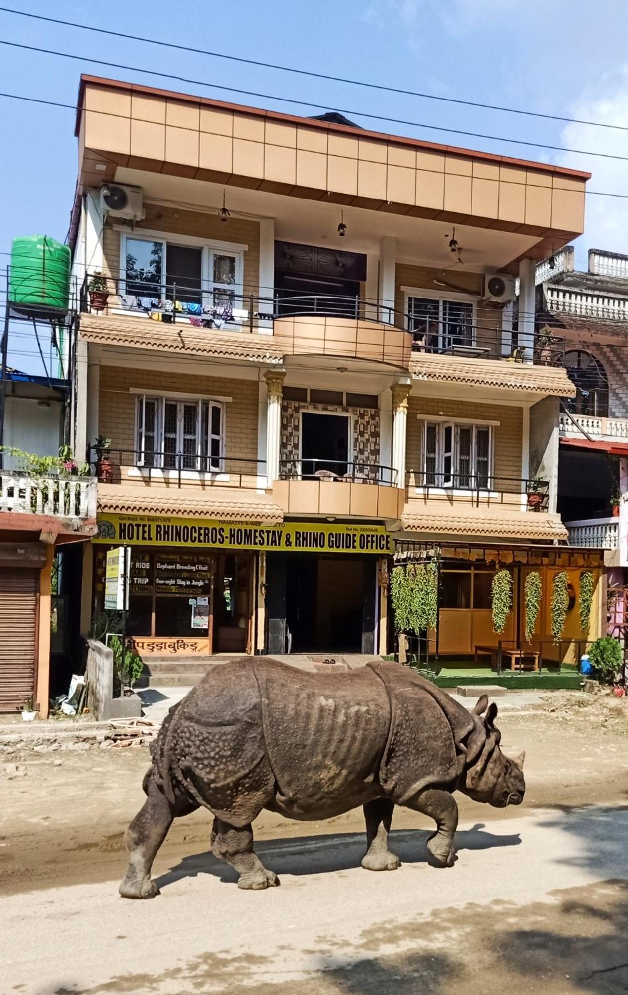 Hotel Rhinoceros-Homestay ソーラハ エクステリア 写真