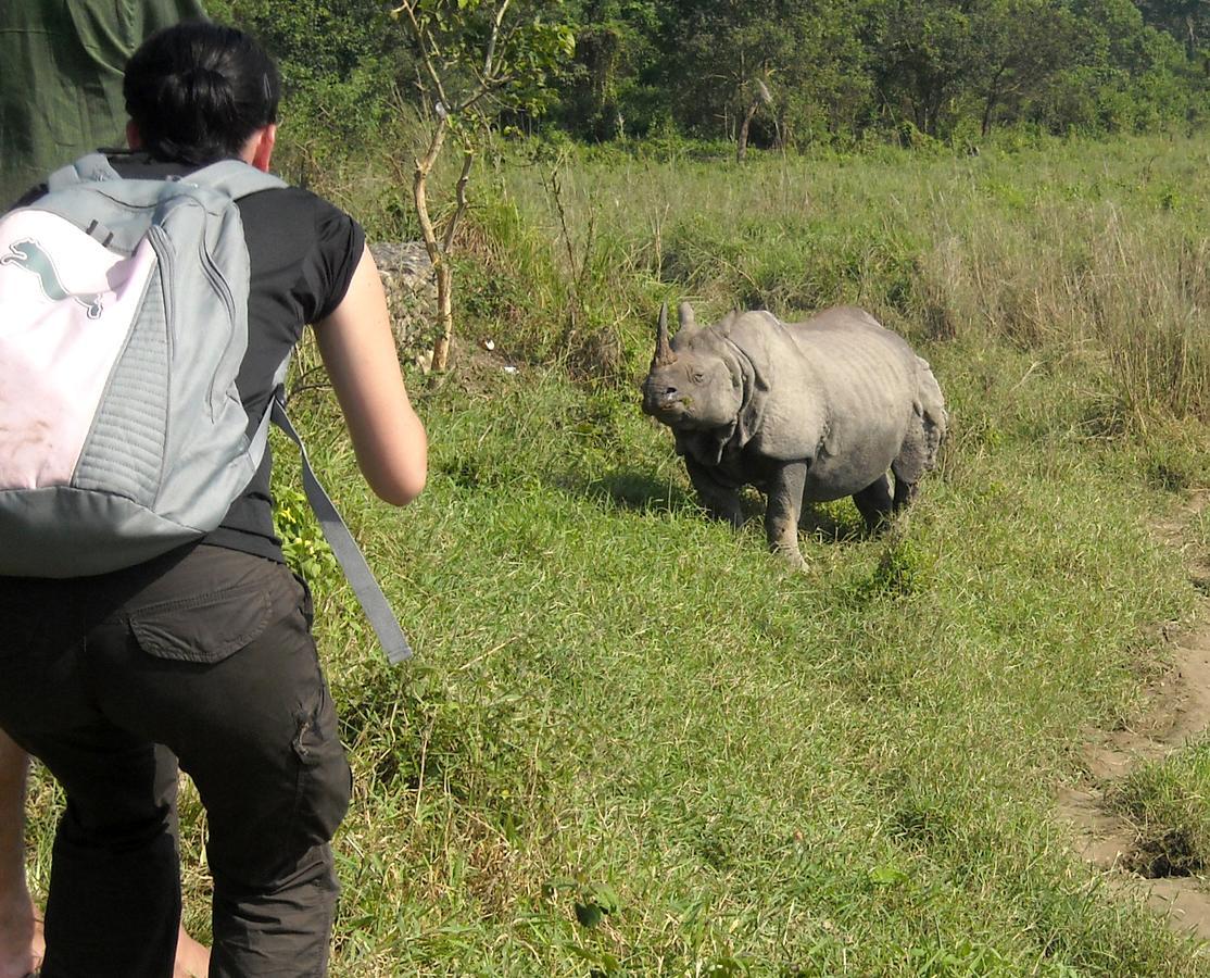 Hotel Rhinoceros-Homestay ソーラハ エクステリア 写真